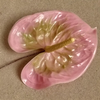 rosa, beige kalla gammel plastik kunstig blomst fra Tyskland genbrug